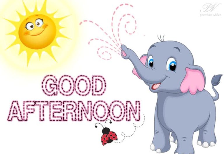 Good Afternoon Wishes