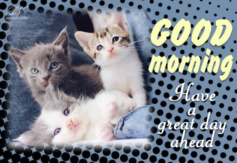 Good Morning Friends  Have a great and fruitful day ahead