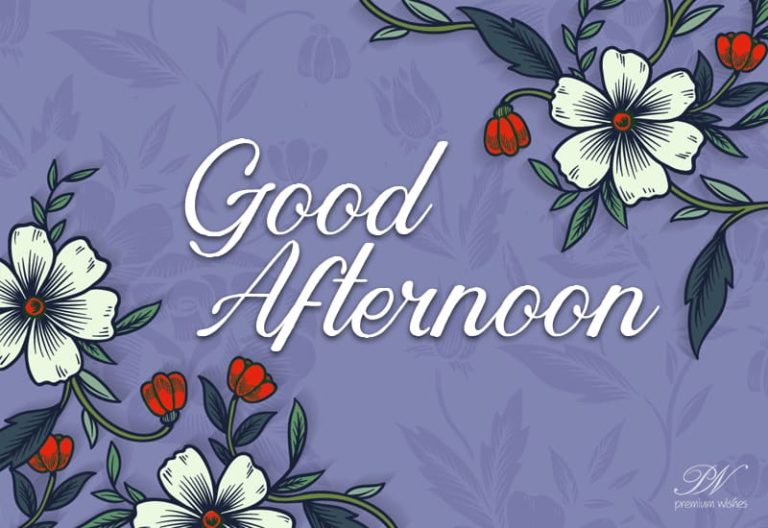 Good Afternoon Wishes