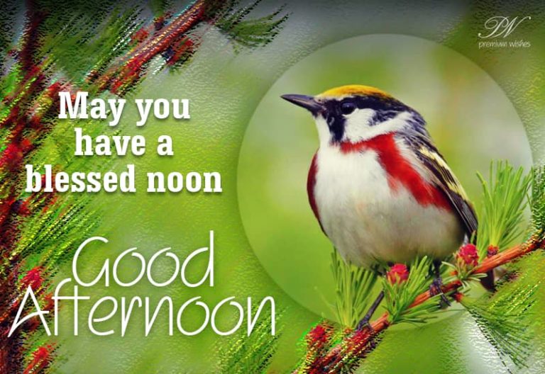 Good Afternoon Wishes