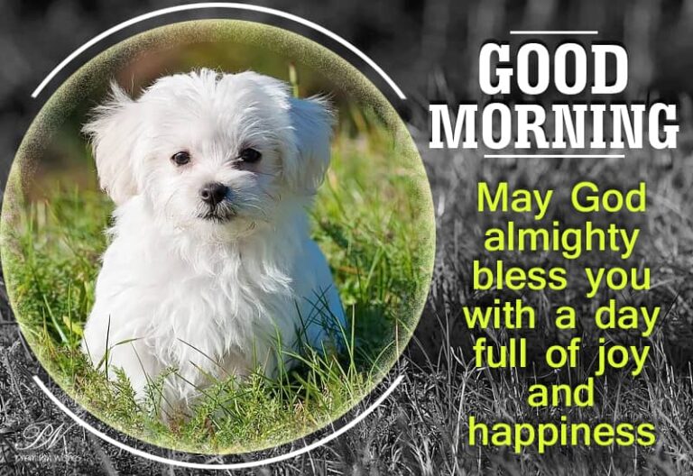 Good Morning – May God almighty bless you with a day full of joy and happiness