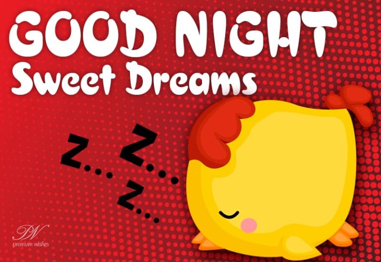Good Night – Sweetest Dreamzzzzzz!!!!