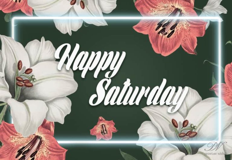 Happy Saturday Friends – Enjoy the morning vibes and the weekend