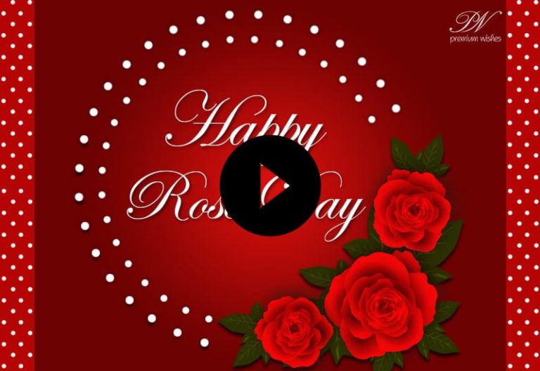 Rose Day WhatsApp Status | Rose Day Video | Happy Rose Day Greetings