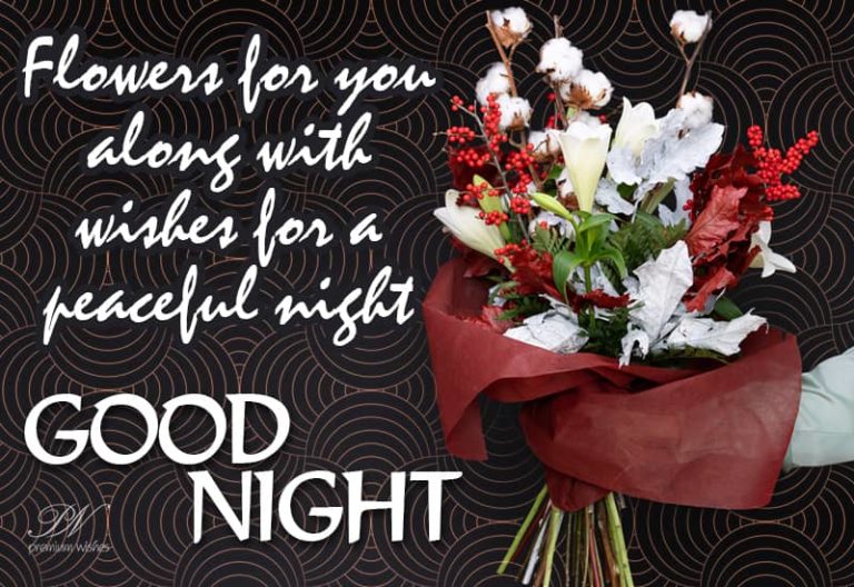 Good Night Wishes