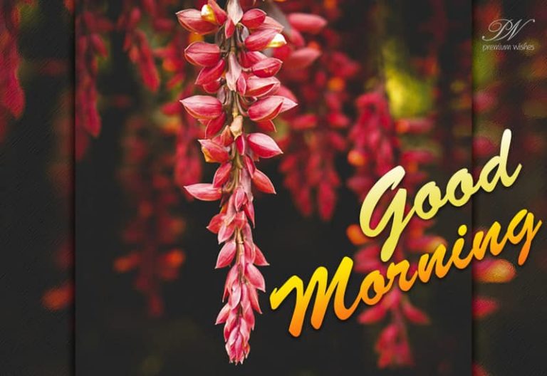 Make Happy Be Happy Good Morning Make Happy Be Happy Good Morning