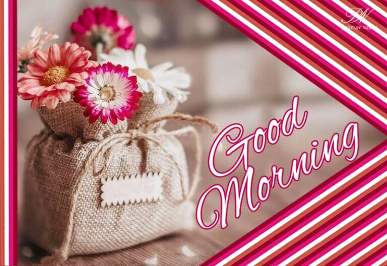 Good Morning – Lift your mood and enjoy the day