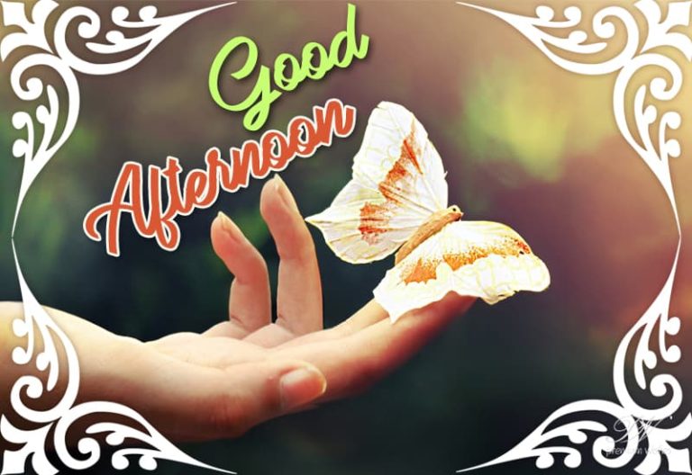 Good Afternoon Wishes