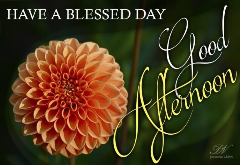 Good Afternoon Wishes