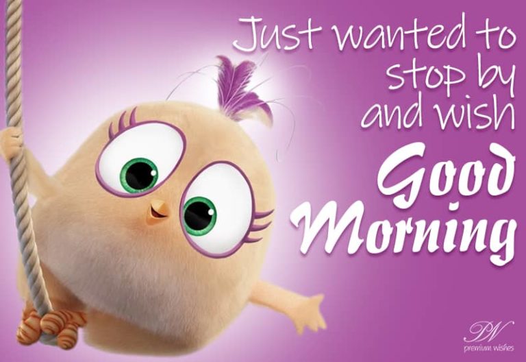 Just wanted to stop by and wish Good Morning