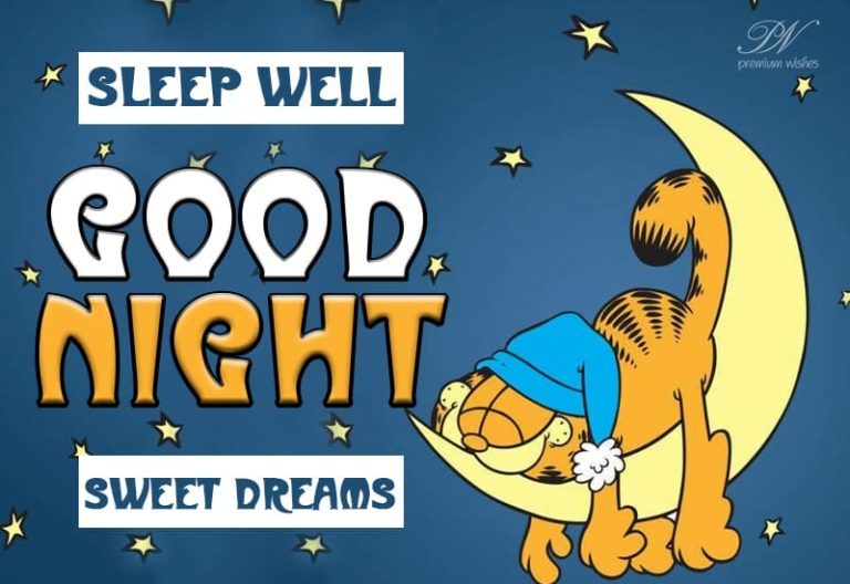 Good Night Wishes