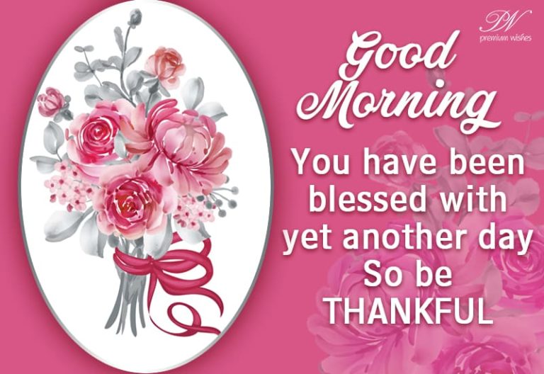 Good Morning – You have been blessed with yet another day. So be thankful.
