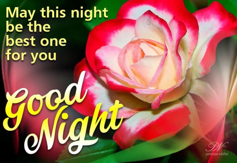 Good Night Wishes