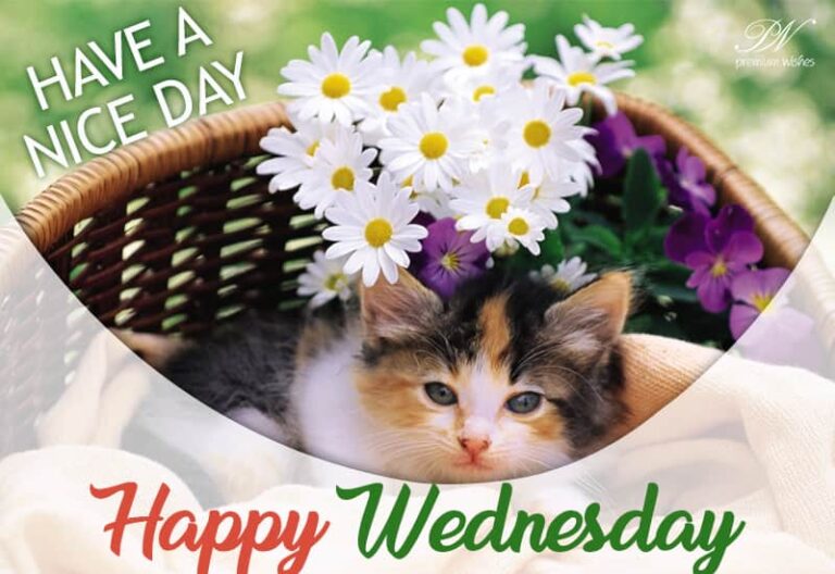Have the nicest midweek – Happy Wednesday