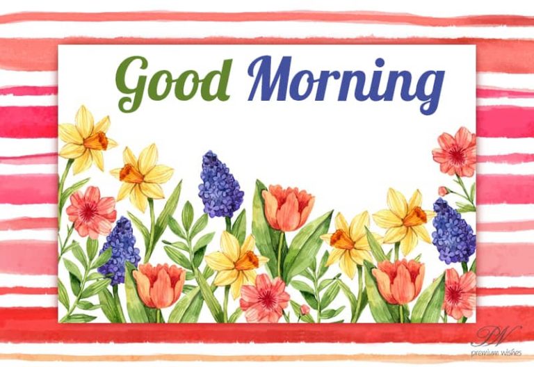 Good Morning – Be Happy and Bloom