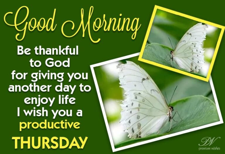 Good Morning – Be thankful to God for giving you another day to enjoy life, I wish you a productive Thursday