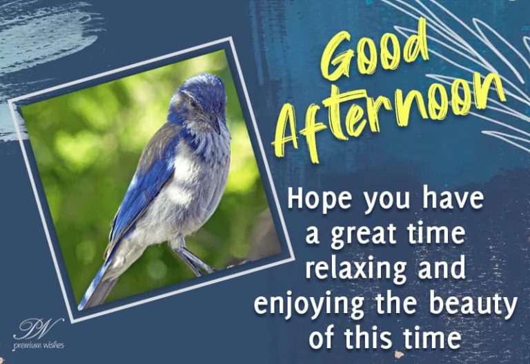 Good Afternoon Wishes