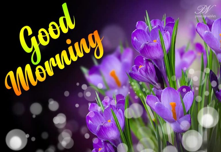 Good Morning – Enjoy nature this morning and feel happy