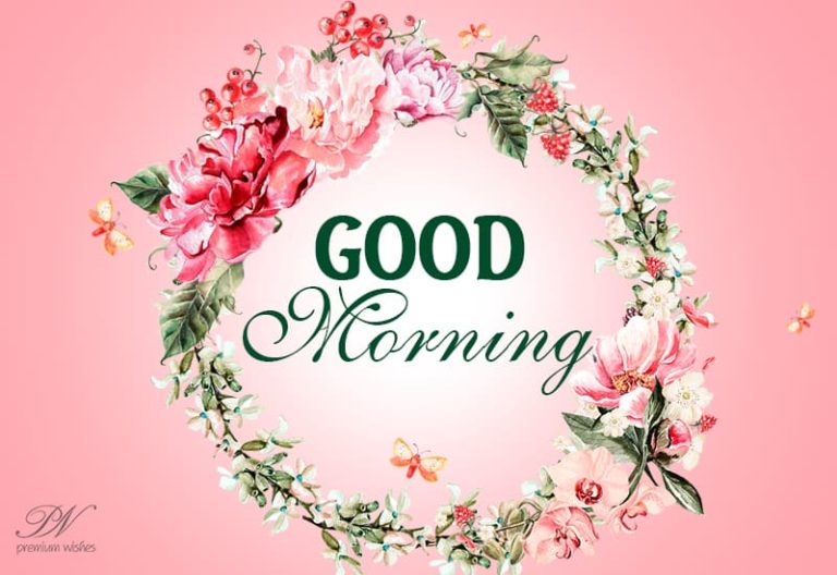 Good Morning – Enjoy the morning and have a great day ahead Good Morning – Enjoy the morning and have a great day ahead