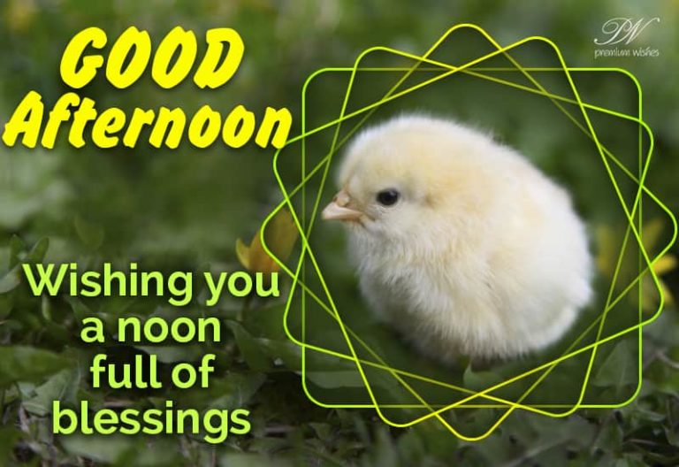 Good Afternoon Wishes