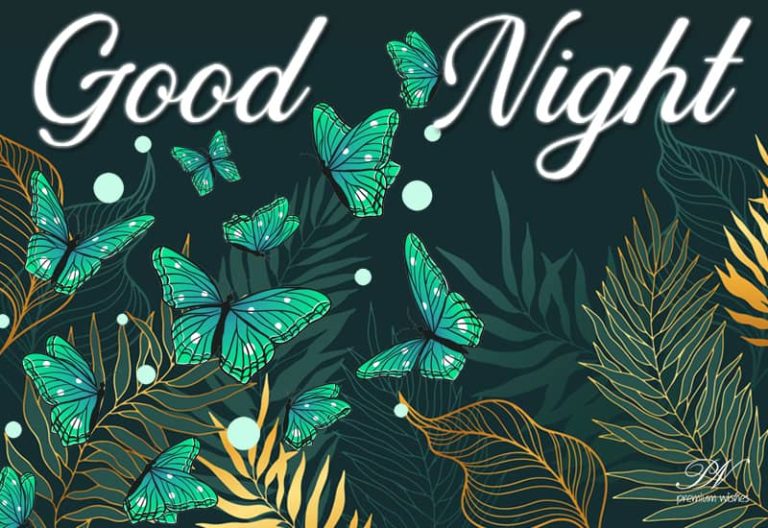 Good Night Wishes