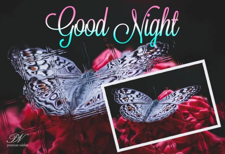 Good Night Wishes