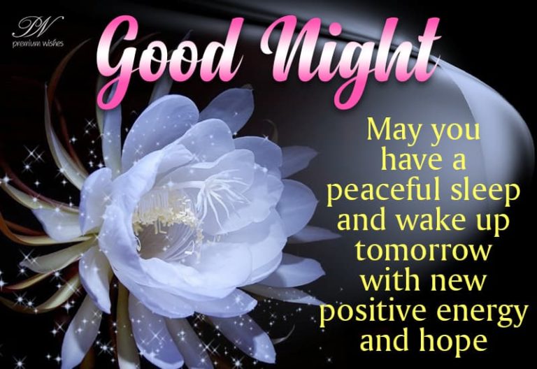 Good Night Wishes