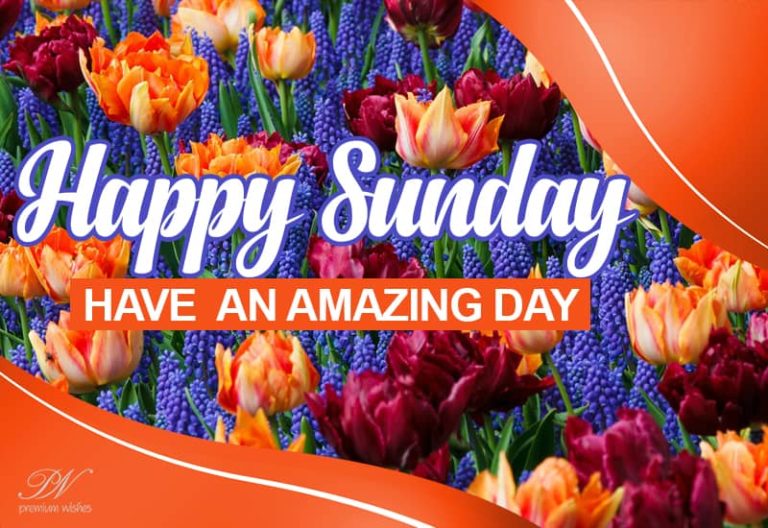 Happy Sunday – Have an amazing day and weekend