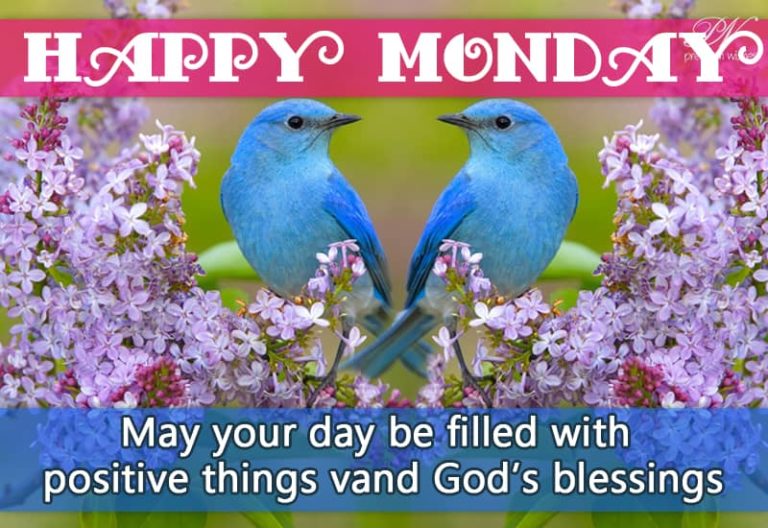 Happy Monday – May your day be filled with positive things and God’s blessings