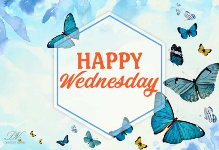 Wishing that you have a happy and terrific Wednesday