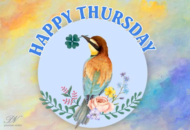 Happy Thursday – Enjoy your day today among nature