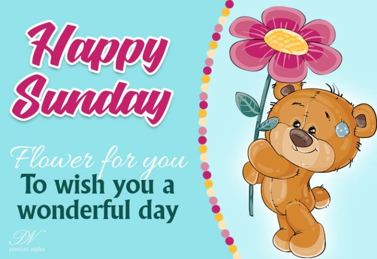 Happy Sunday – Flower for you to wish you a wonderful day