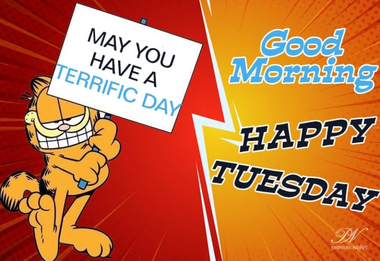 Happy Tuesday – Good Morning – May you have a terrific day