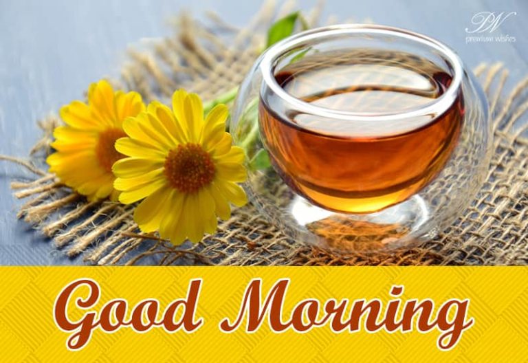 Good Morning – Have the most charming day ahead