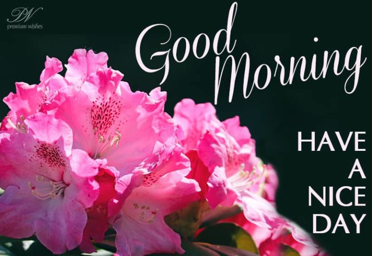 Good Morning – Have a nice and bright day ahead