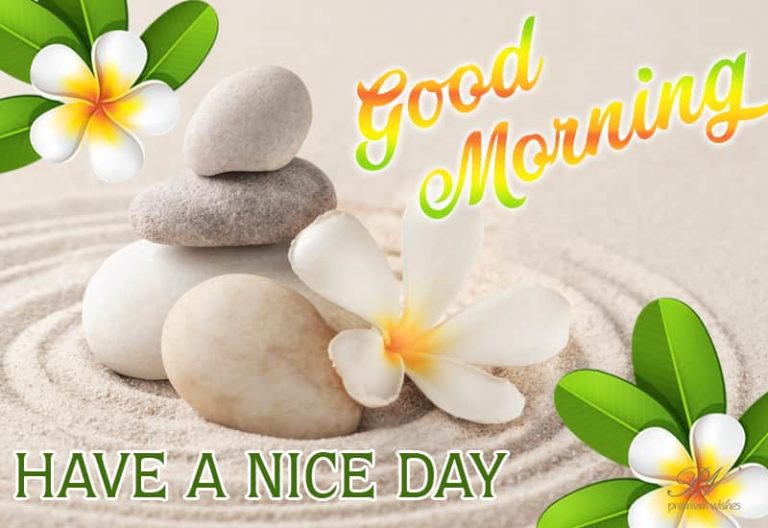 Good Morning – Have a nice day ahead friends – hope you have a nice time