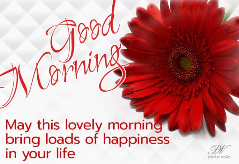 Good Morning – May this lovely morning bring loads of happiness in your life