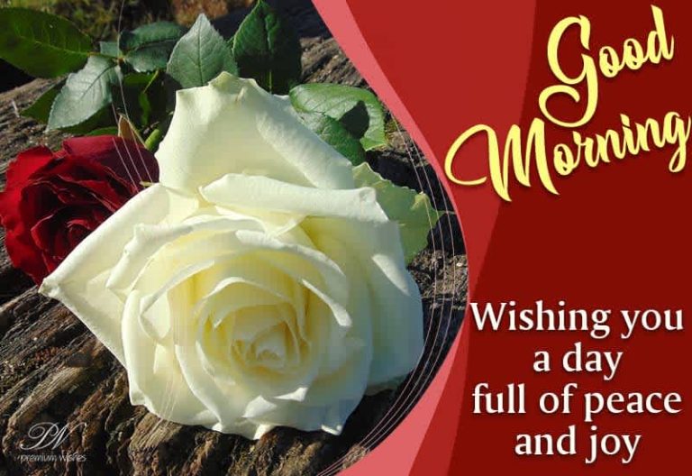 Good Morning – Wishing you a day full of peace, joy and love