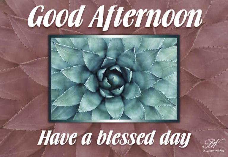 Good Afternoon – Have a blessed and great noon today