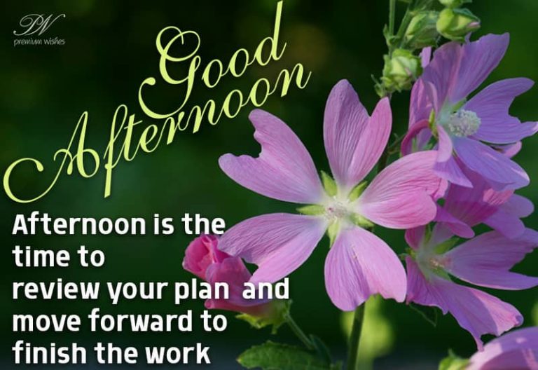 Good Afternoon Wishes