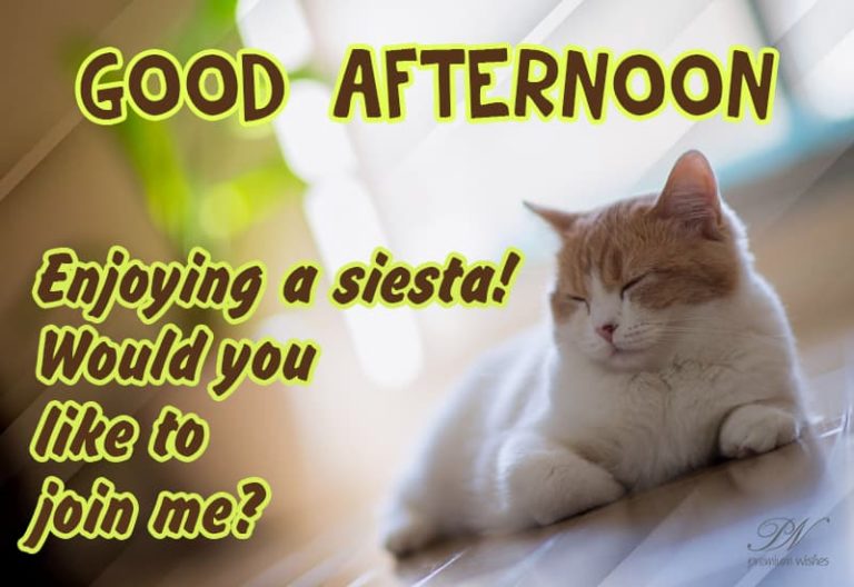 Good Afternoon Wishes