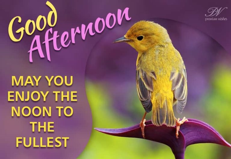 Good Afternoon Wishes