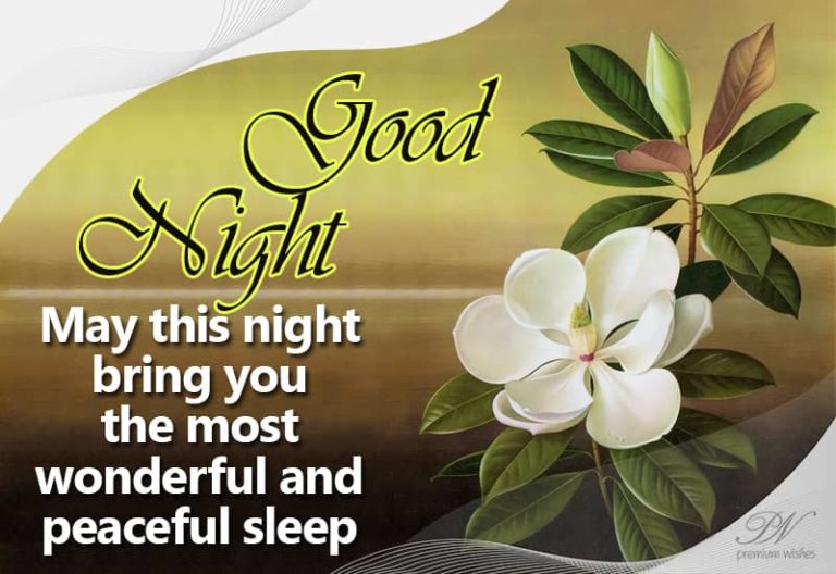 Good Night Wishes