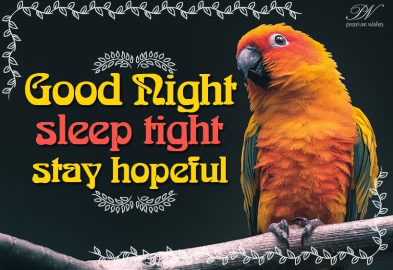 Good Night Wishes