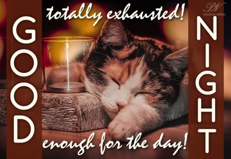 Good Night – Totally exhausted – enough for the day Good Night – Totally exhausted – enough for the day