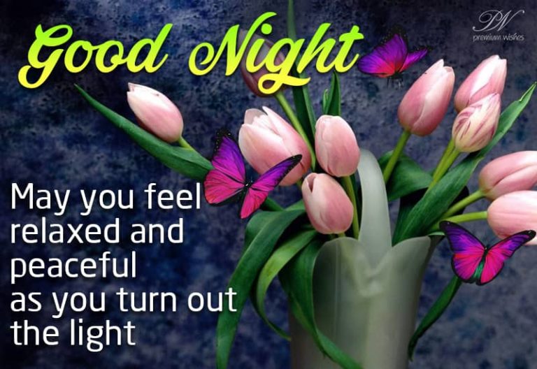 Good Night Wishes