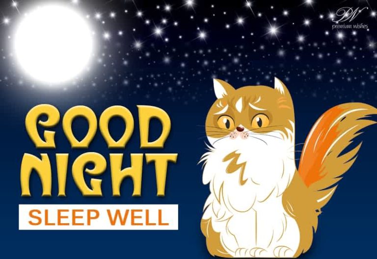 Good Night Wishes