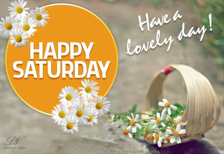 Happy Saturday – Have a lovely day