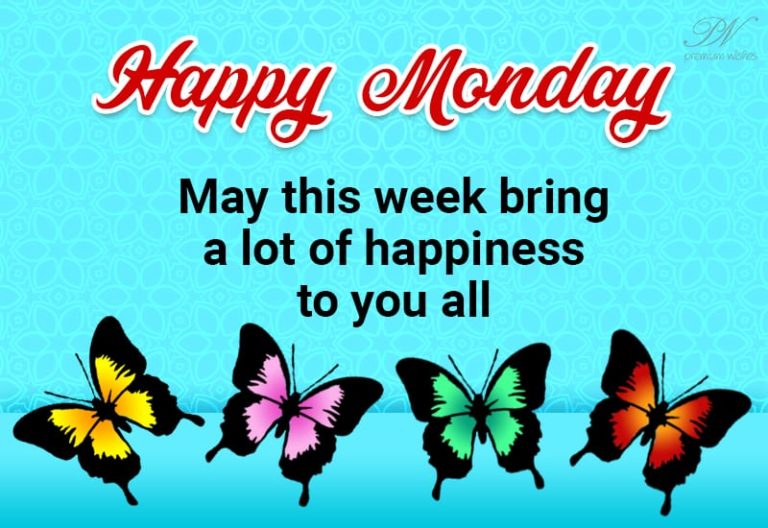 Happy Monday – May this week bring a lot of happiness to you all Happy Monday – May this week bring a lot of happiness to you all