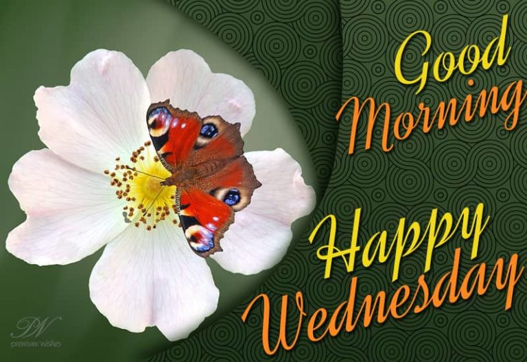 Good Morning – Happy Wednesday